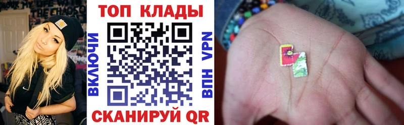 Виды наркотиков купить Ирбит А ПВП  Псилоцибиновые грибы  ГАШ 