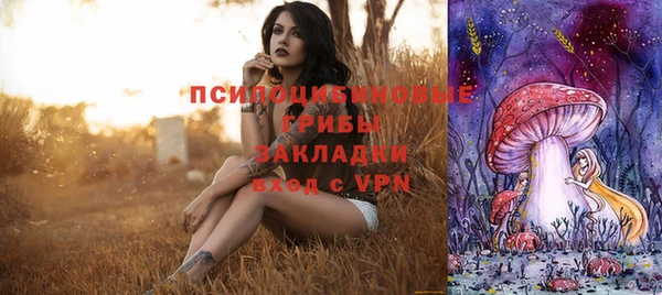 крисы Заволжск