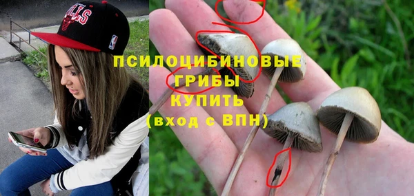 Альфа ПВП Заводоуковск