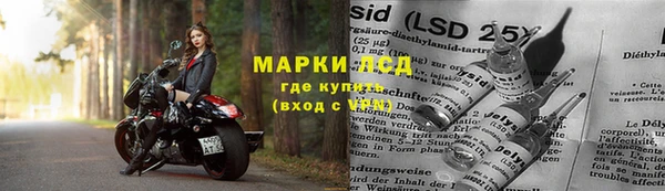 трава Заволжье